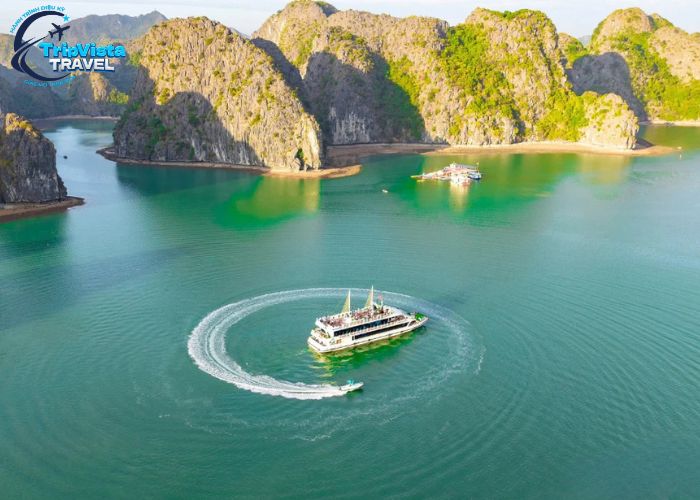 Thiết kế chưa có tên (6)
