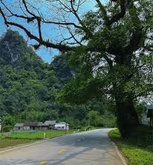 images (4)