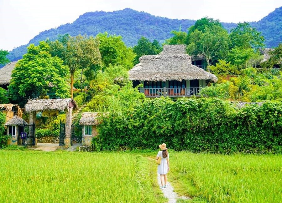mai-chau-4482dbde-2c43-4471-9b9e-9a5922255645