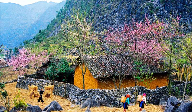 mua-xuan-o-ha-giang