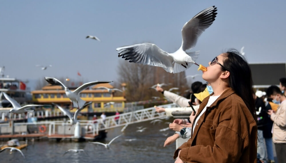 tour-ha-noi-ha-khau-con-minh-kieu-tu-son-trung-giang-kien-thuy-5n4d-lich-trinh-chi-tiet-dich-vu-tot-nhat-7