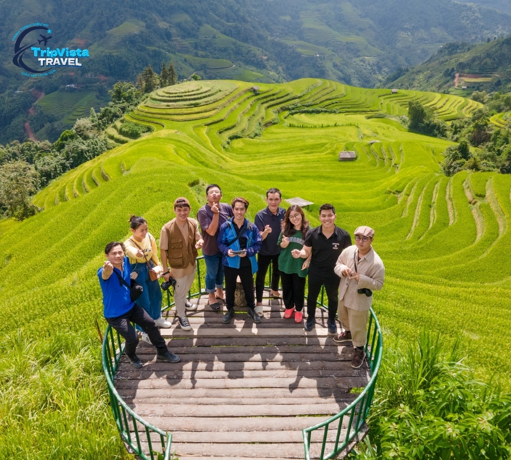 ảnh nền hoàng su phì
