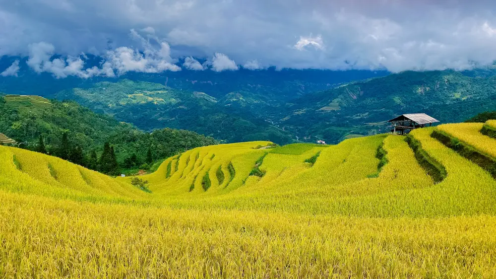 go-and-share-kinh-nghiem-du-lich-nam-hong-2